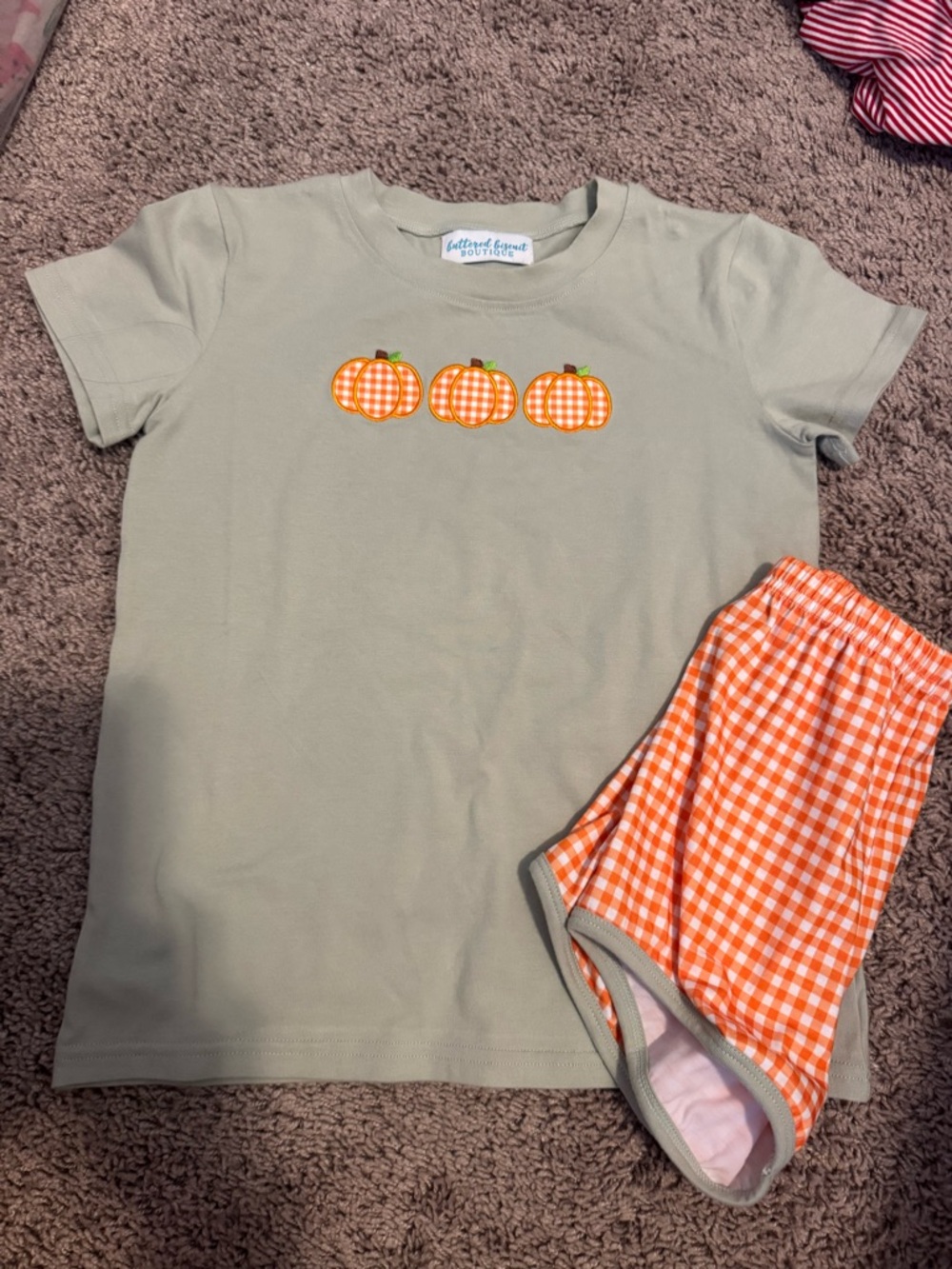 Kids Pumpkin Applique Tee and Shorts Set - Sage and Orange